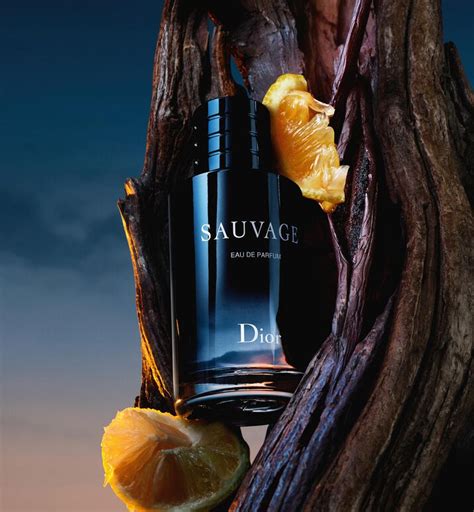 Sauvage Eau de Parfum: Citrus Vanilla Fragrance 